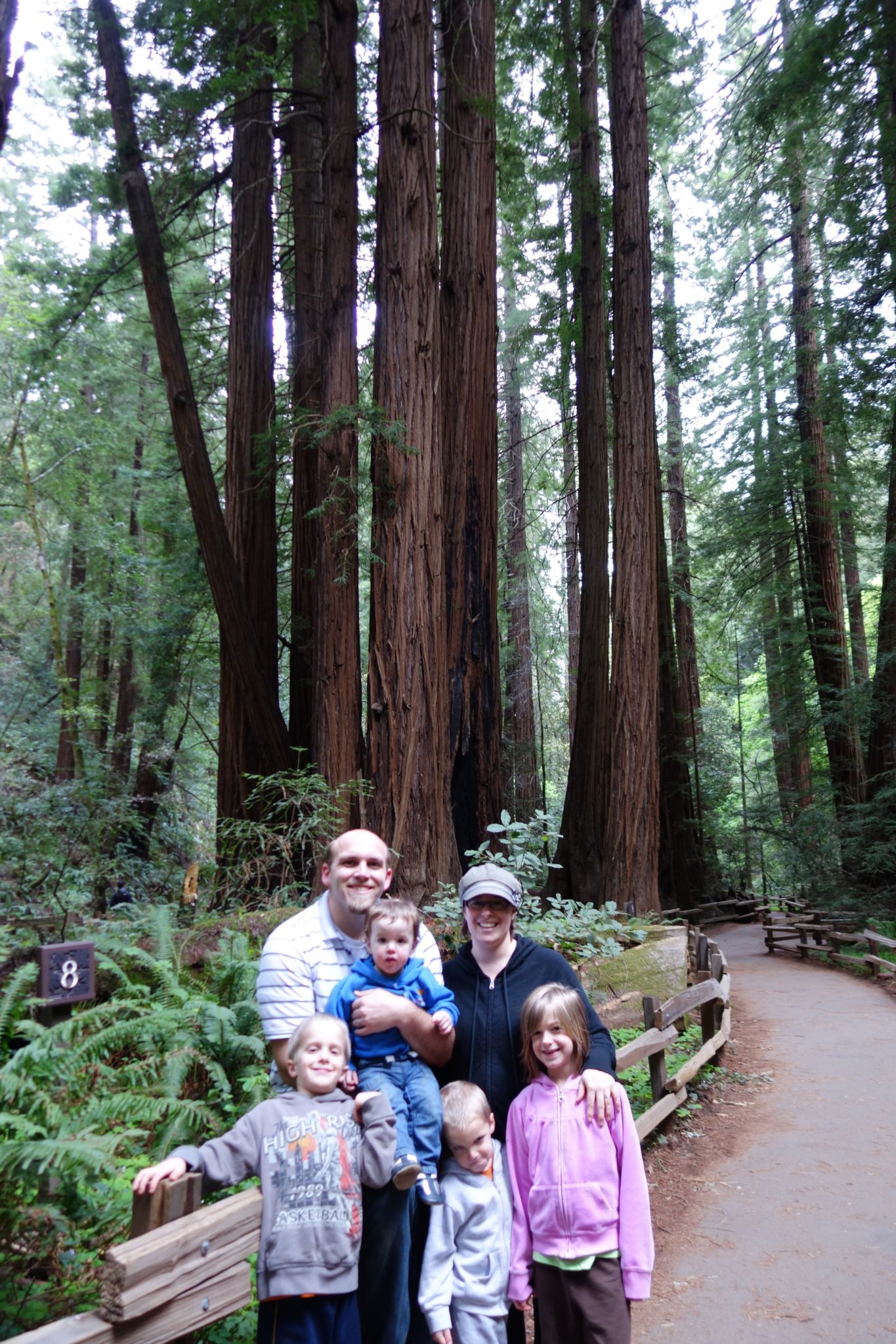 Redwood Forest, San Francisco, California