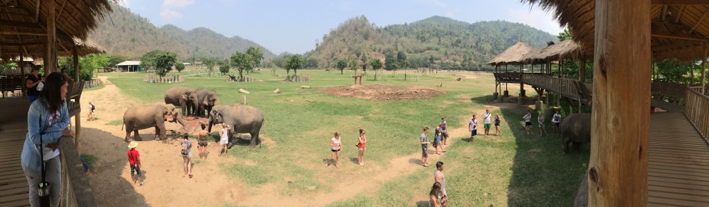 Throwback Thursday – Elephant Nature Park
