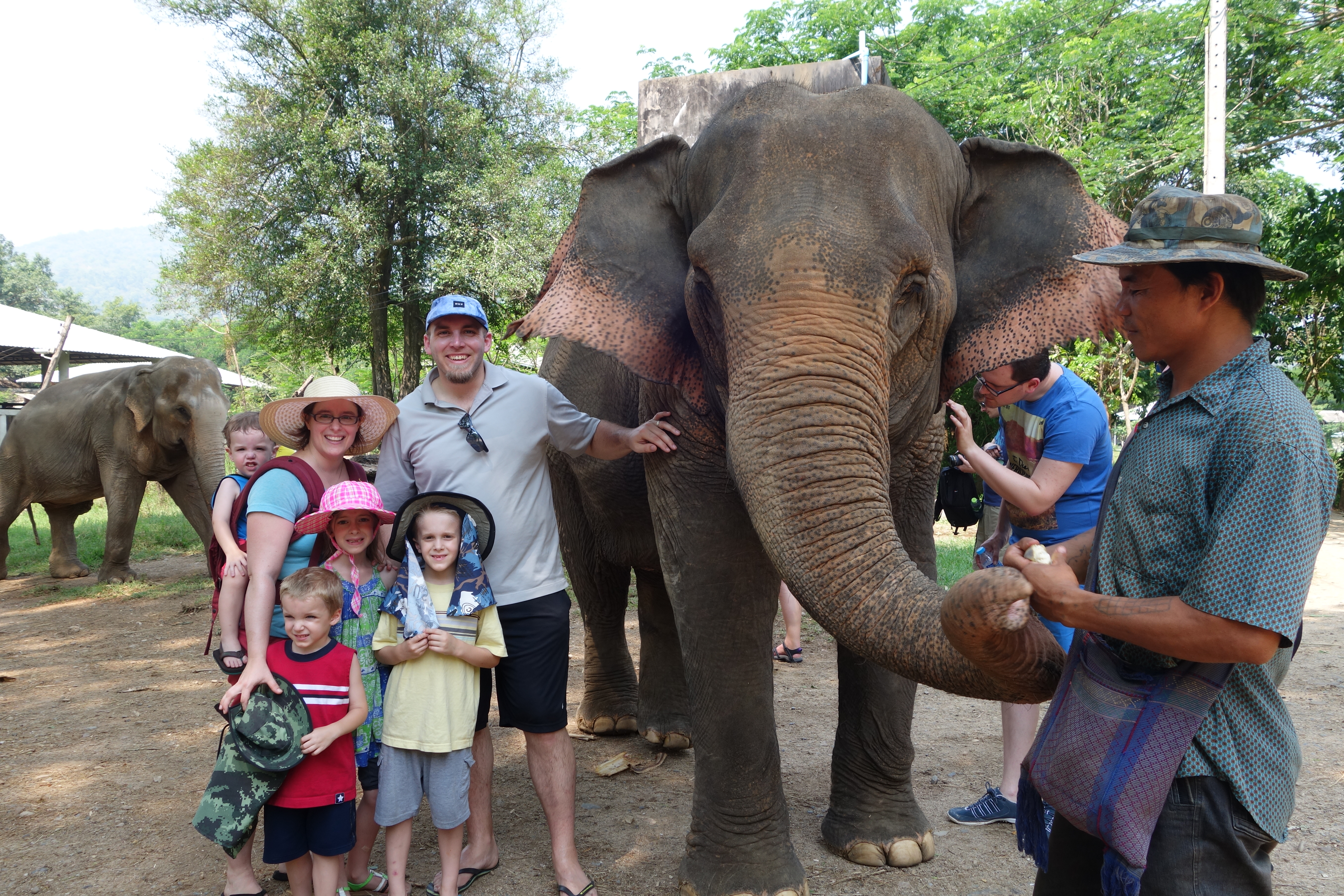 Elephant Nature Park, Northern Thailand